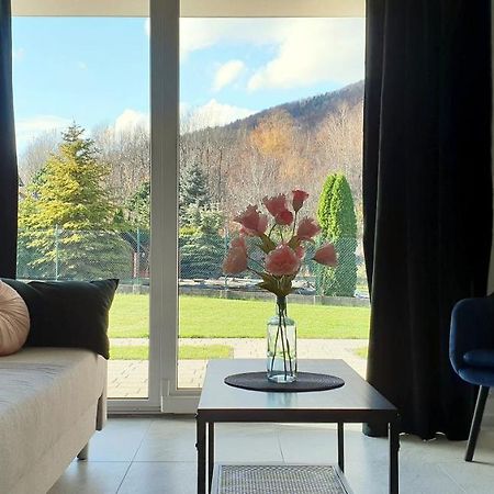 Apartamenty Nad Zylica Przy Deptaku - Dream Apart Szczyrk Bagian luar foto